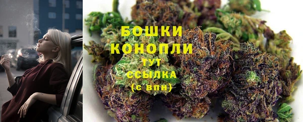 mdma Бородино