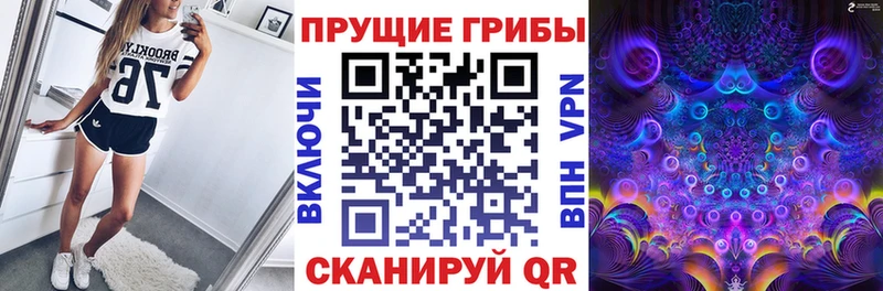 гидра ONION  нарко площадка какой сайт  Галлюциногенные грибы Psilocybine cubensis  Новокубанск 
