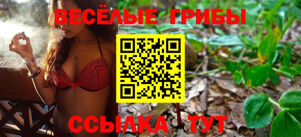 MDMA Новокубанск